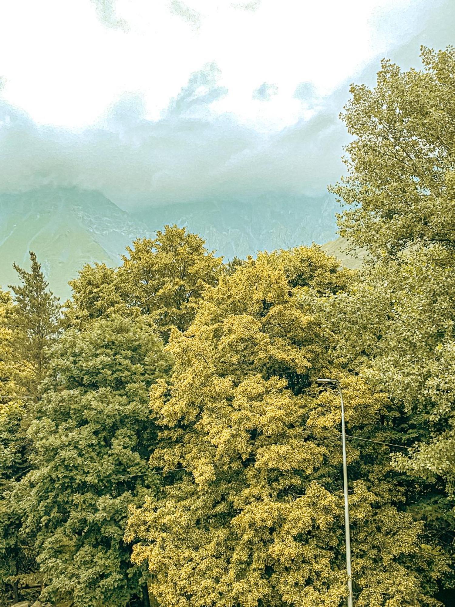 Hotel Gold Kazbegi エクステリア 写真