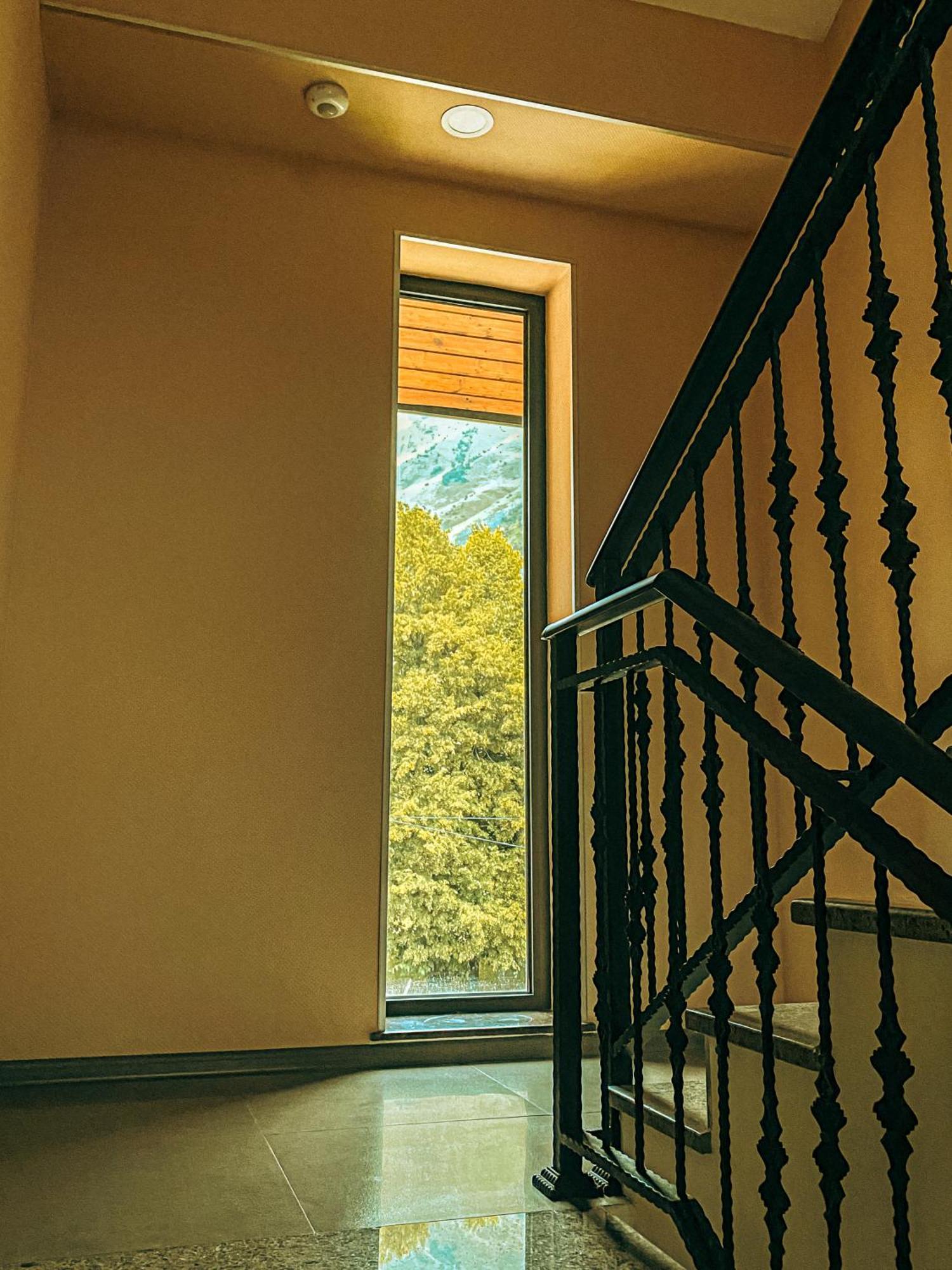 Hotel Gold Kazbegi エクステリア 写真