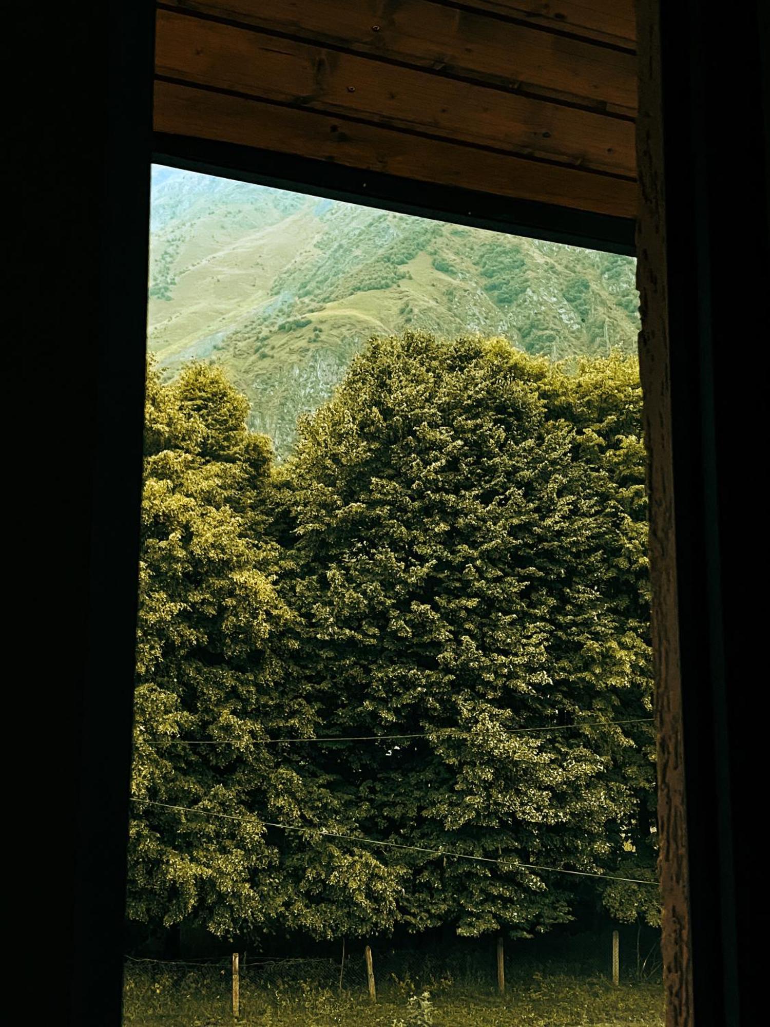 Hotel Gold Kazbegi エクステリア 写真